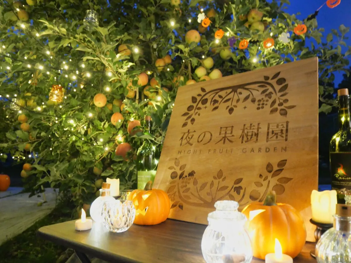 【ラストチャンス】約3,500球の光が彩る「夜の果樹園2026」。3日間限定の幻想的なりんご畑へ